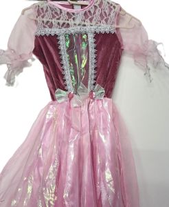 Kids Costumes to Hire - PRINCESS dress - Dusty Pink Bodice - GIRL